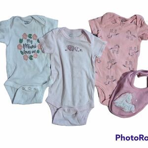 Baby Girl Bodysuit Set, 3-6 Months
